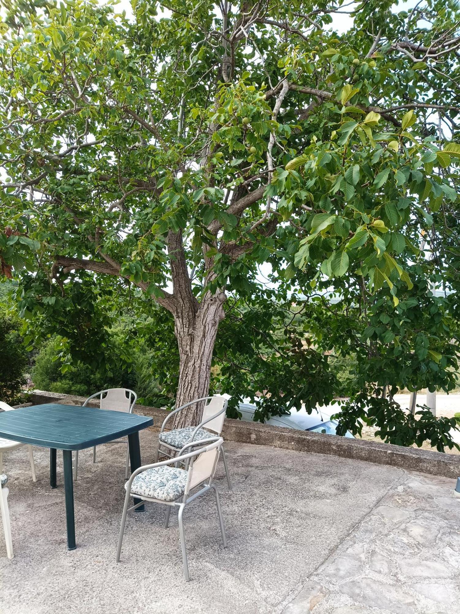 Cuk Apartment *
