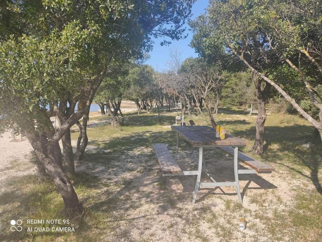 Cuk Apartament